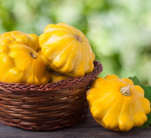 Squash Orange